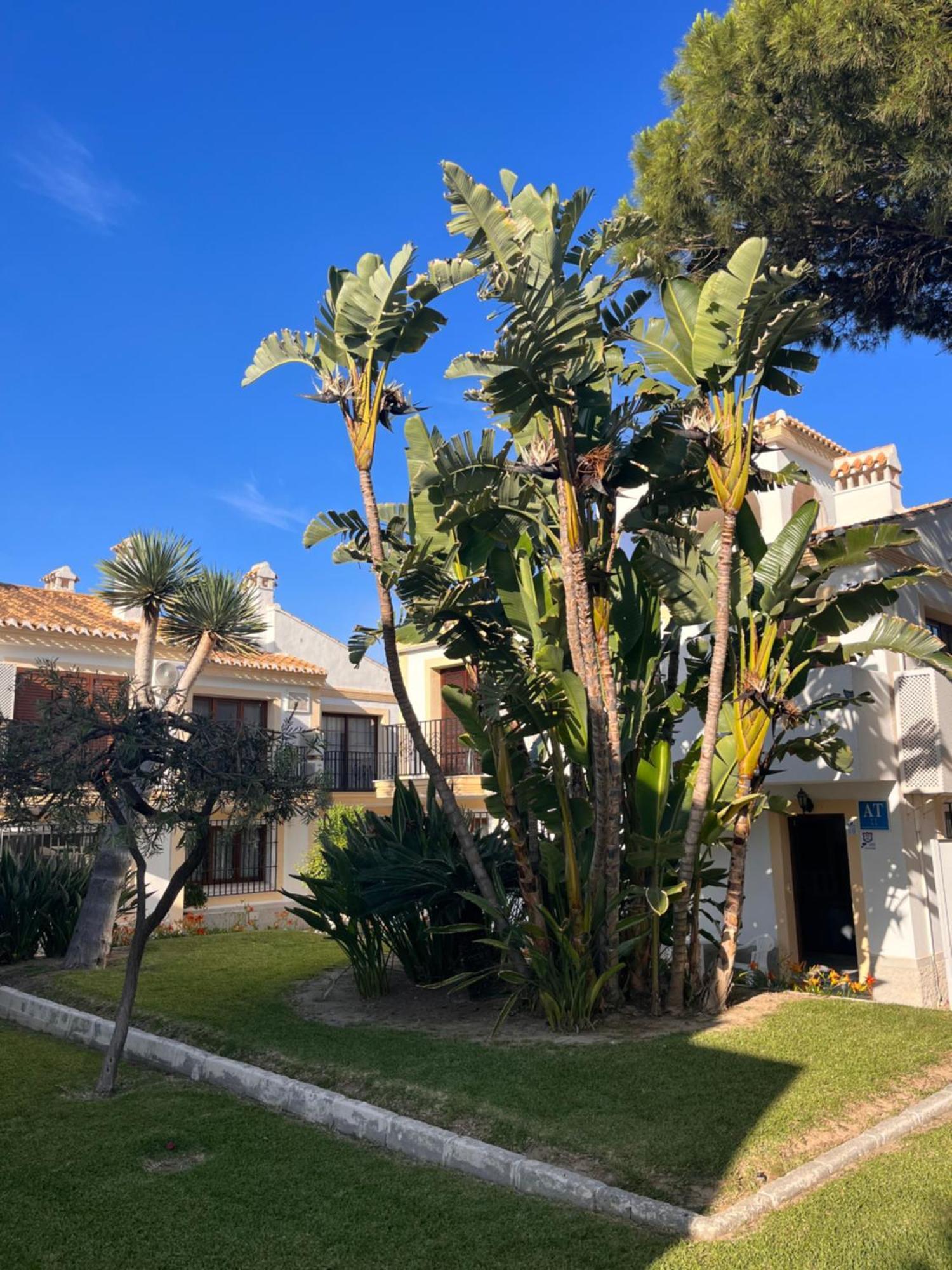 Apartamento Esquina Verde En Vera Coast Playas de Vera Exteriör bild