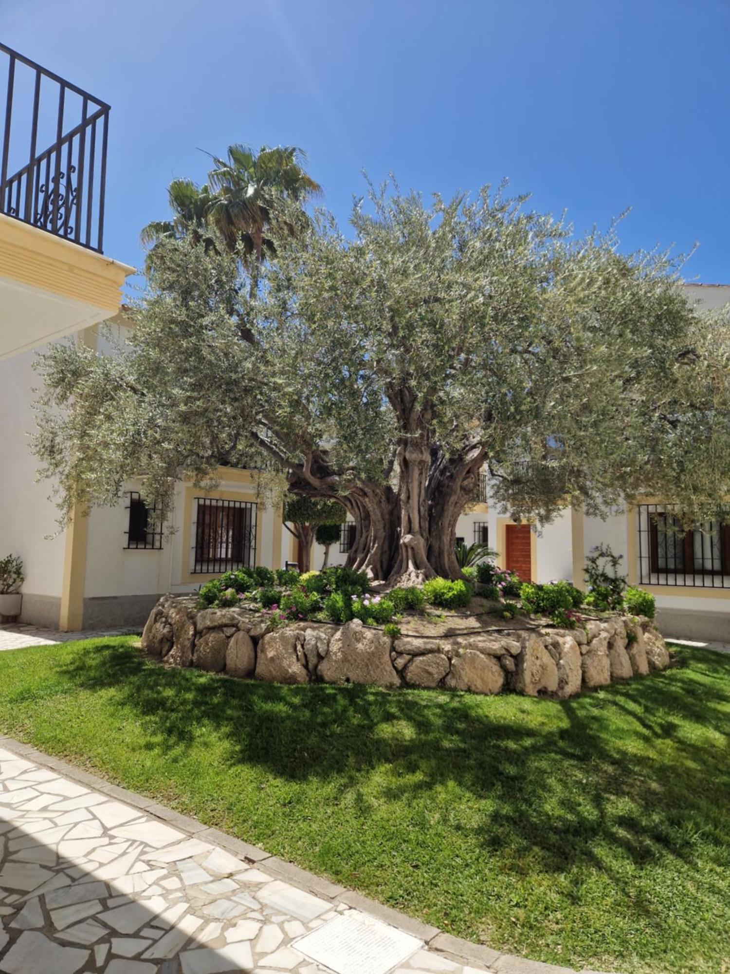 Apartamento Esquina Verde En Vera Coast Playas de Vera Exteriör bild