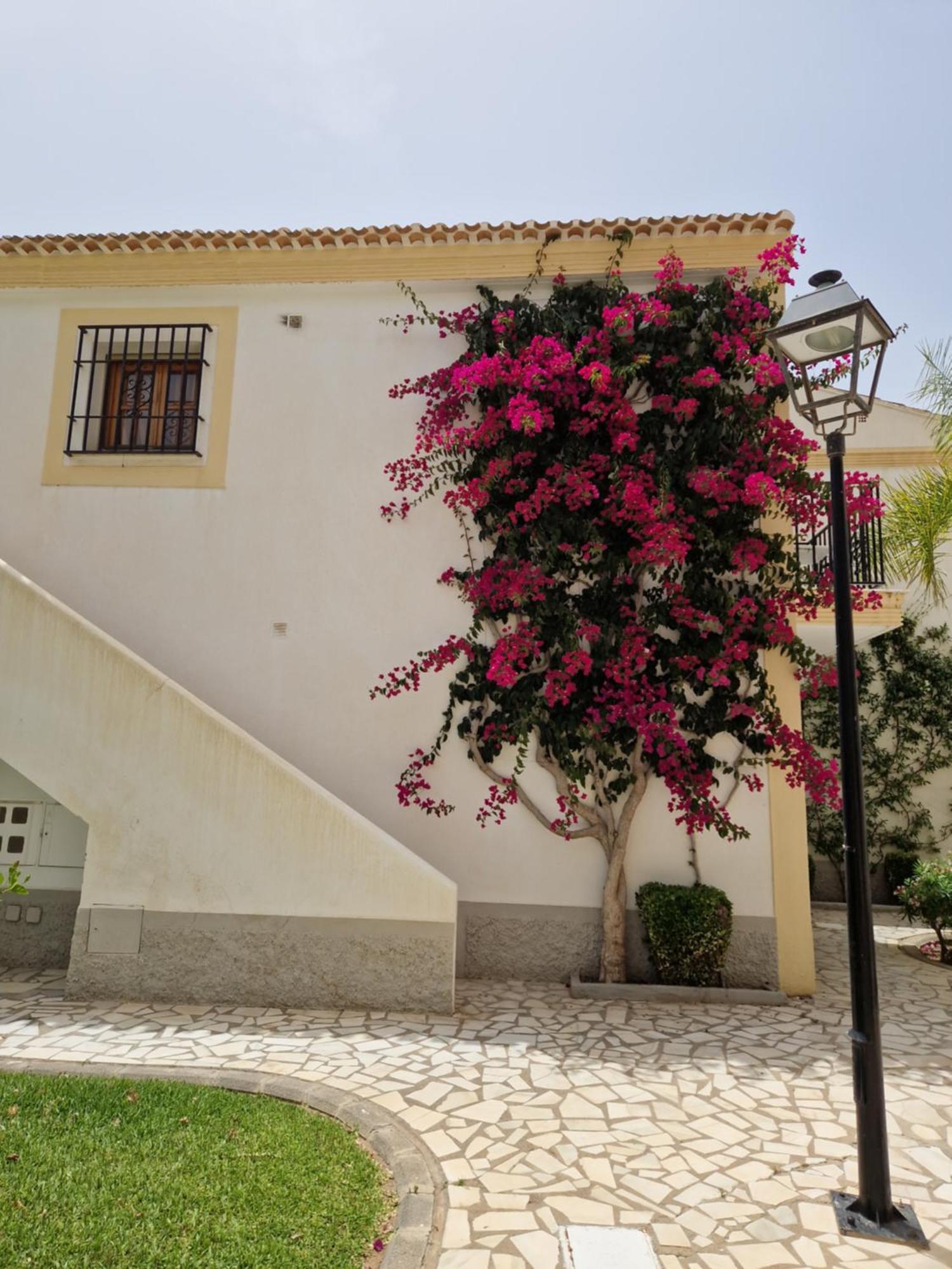 Apartamento Esquina Verde En Vera Coast Playas de Vera Exteriör bild